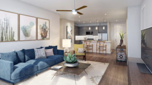 Austin Luxury Apartment Home