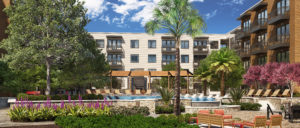 Easy Living in South Austin